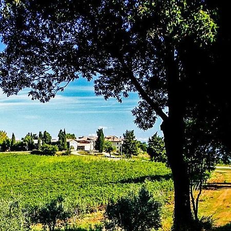 Fattoria La Torre Daire San Gimignano Dış mekan fotoğraf